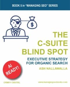 Cover of The C-suite Blind Spot